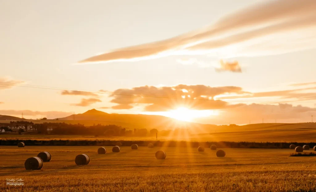 IT support for businesses in Aberdeen with secure and reliable business systems